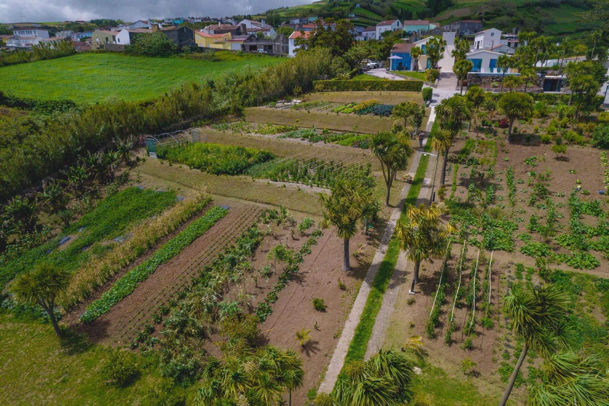 Idonea Bed & Breakfast Ponta Garca Екстериор снимка
